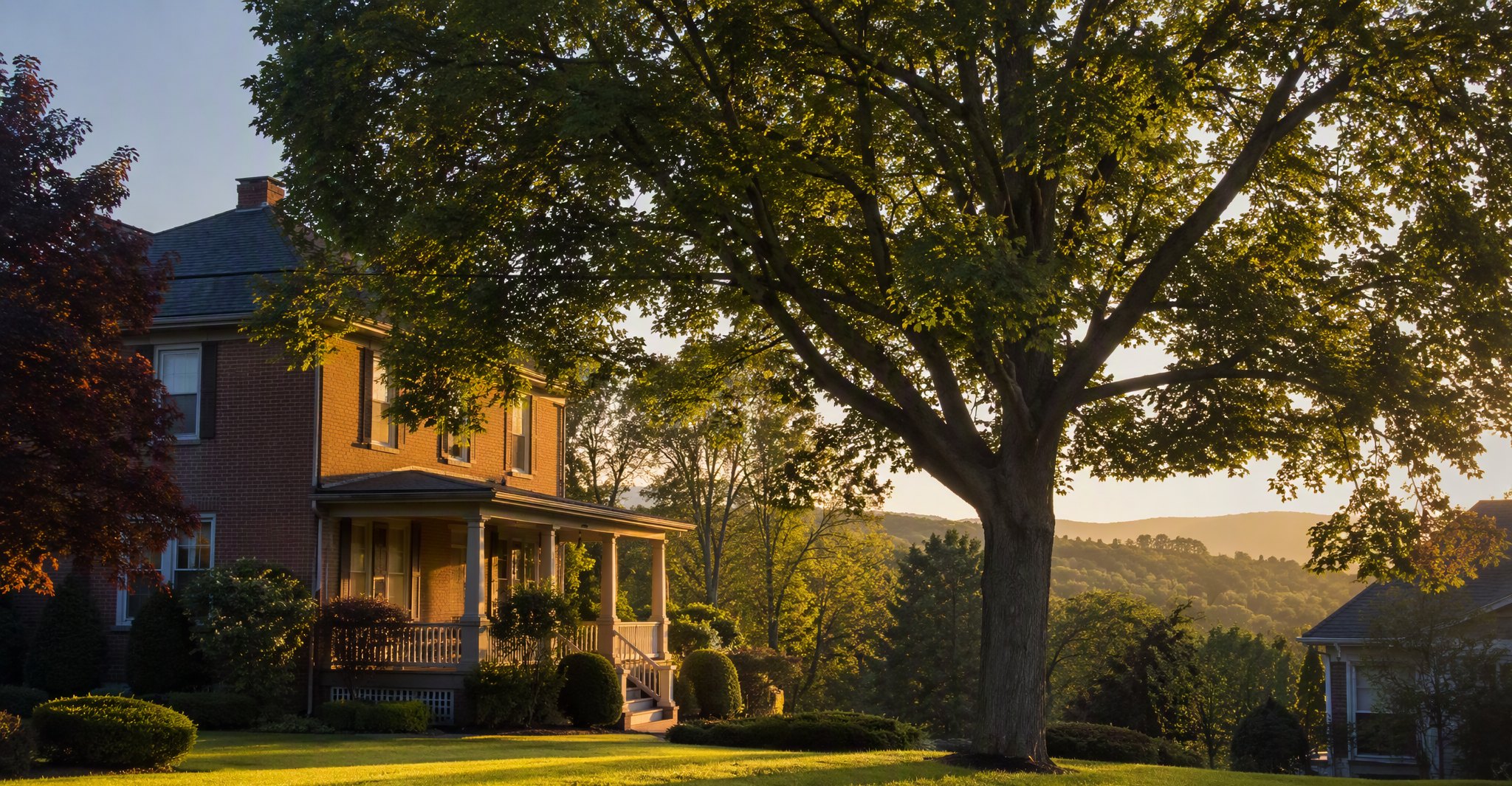 Binghamton tree removal on a New York property